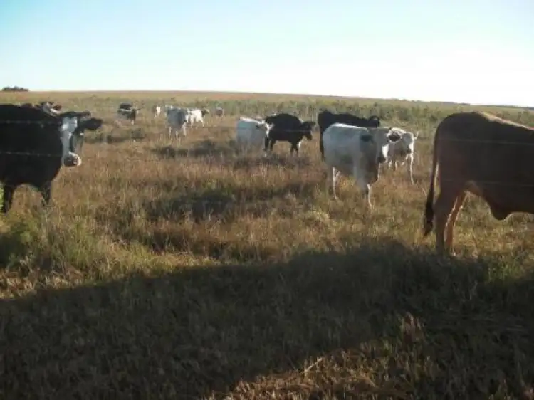 Seventh view of Homely rural property listing, Address available on request