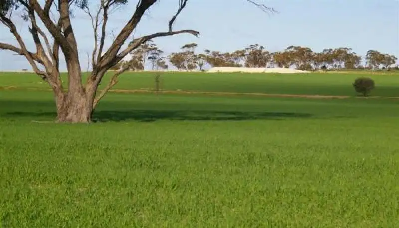 Main view of Homely rural property listing, Address available on request