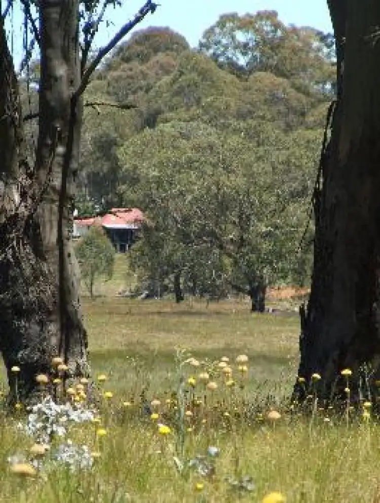 Main view of Homely rural property listing, Address available on request