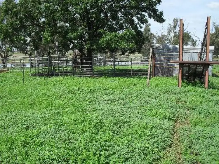Third view of Homely rural property listing, Address available on request