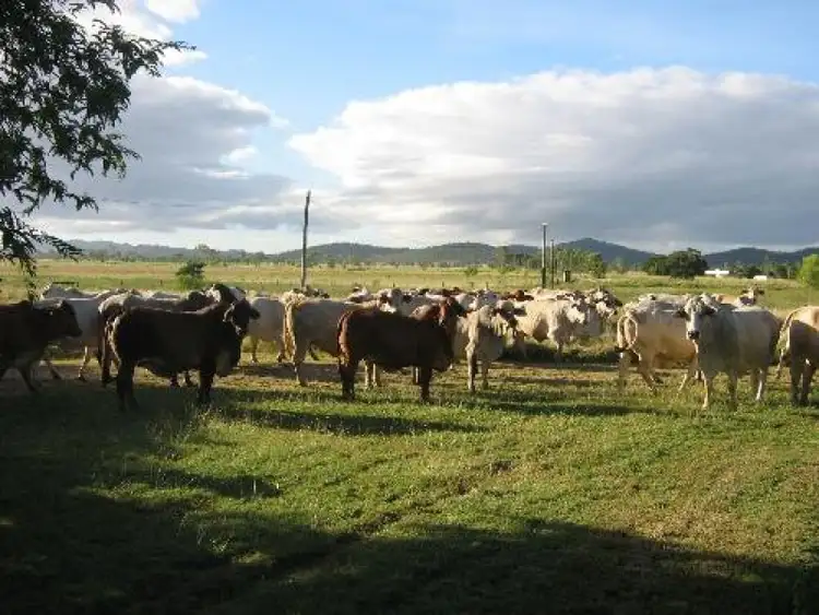 Sixth view of Homely rural property listing, Address available on request