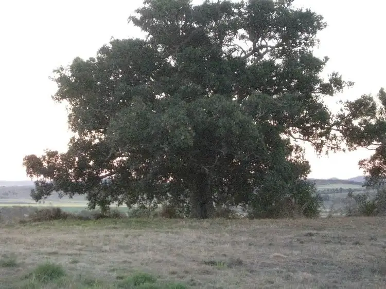 Fourth view of Homely rural property listing, Address available on request