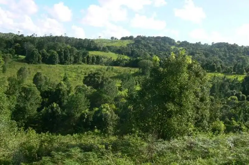 Main view of Homely rural property listing, Address available on request