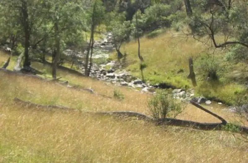 Main view of Homely rural property listing, 50 Yarrabin Rd, Mudgee NSW 2850