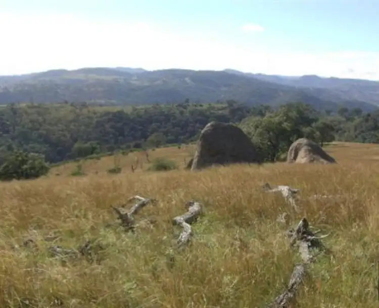 Sixth view of Homely rural property listing, 50 Yarrabin Rd, Mudgee NSW 2850