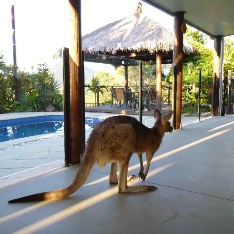 Third view of Homely rural property listing, 153 Sugar Loaf Road, Mirani QLD 4754