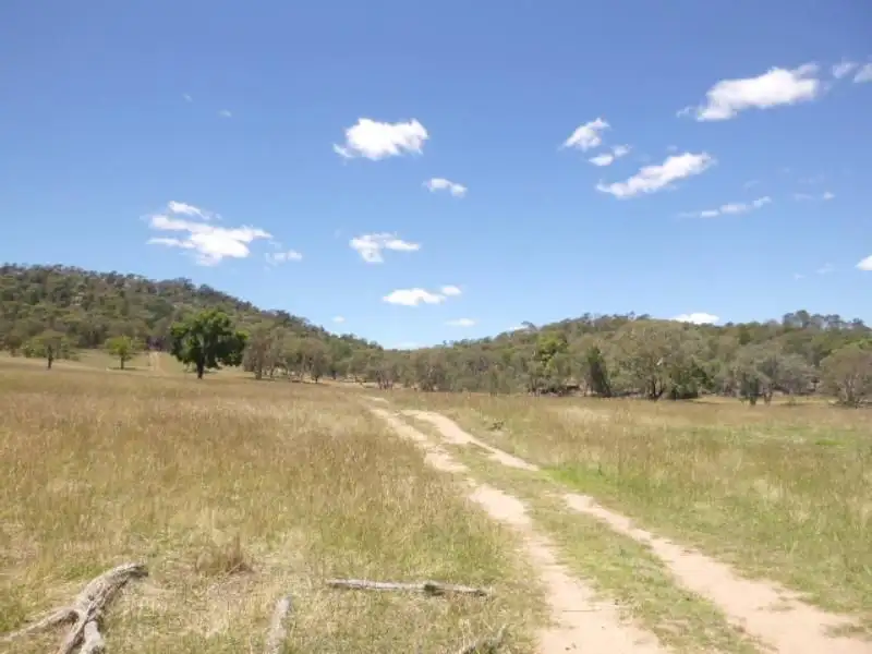 Main view of Homely rural property listing, Lot/99 Wanera Lane, Eugowra NSW 2806