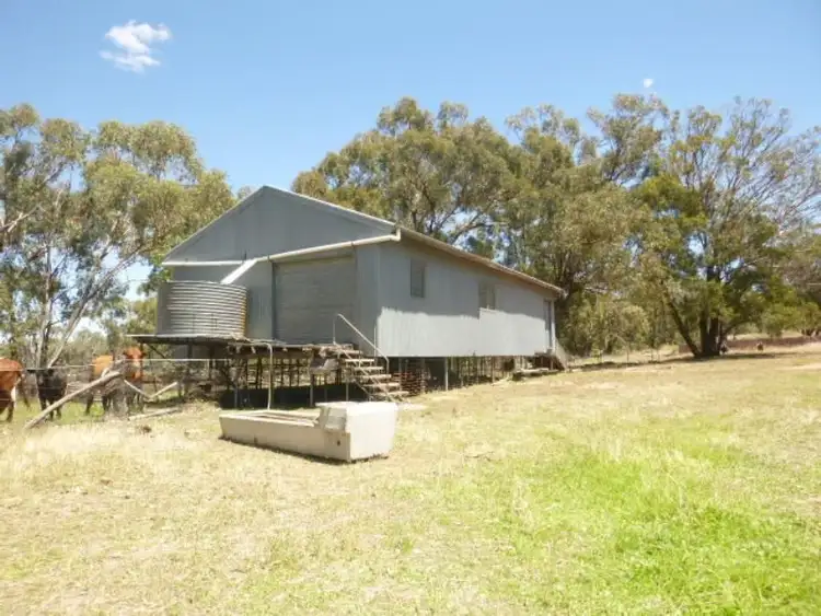 Third view of Homely rural property listing, Lot/99 Wanera Lane, Eugowra NSW 2806