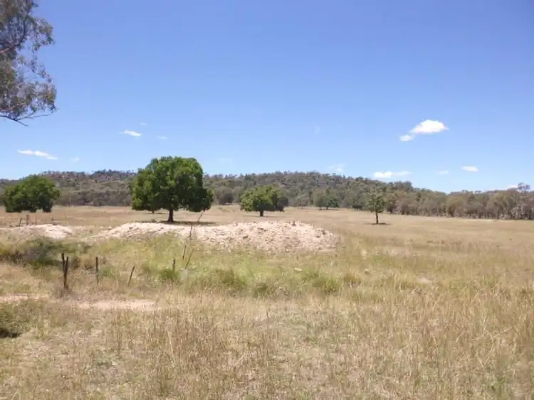 Sixth view of Homely rural property listing, Lot/99 Wanera Lane, Eugowra NSW 2806