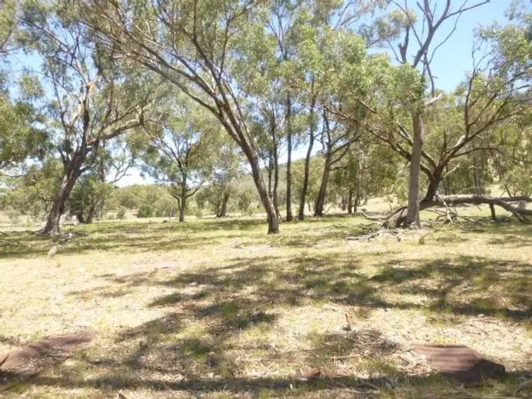 Seventh view of Homely rural property listing, Lot/99 Wanera Lane, Eugowra NSW 2806