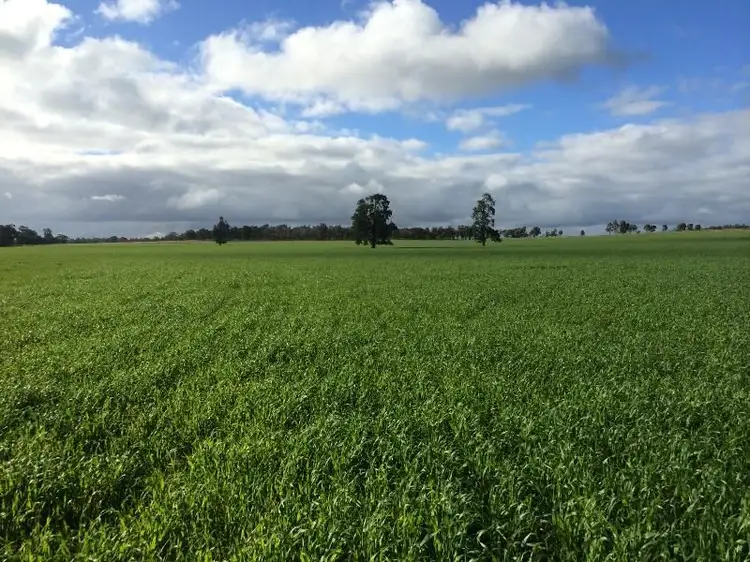 Main view of Homely rural property listing, 486 Beckom Rd, Beckom NSW 2665