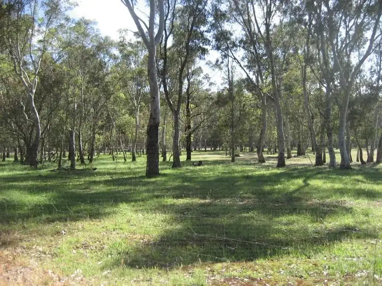 Fifth view of Homely rural property listing, Address available on request