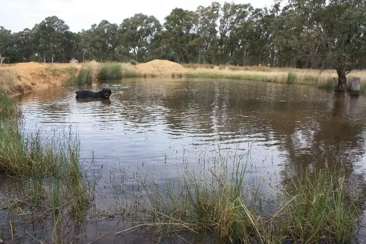 Seventh view of Homely rural property listing, Address available on request