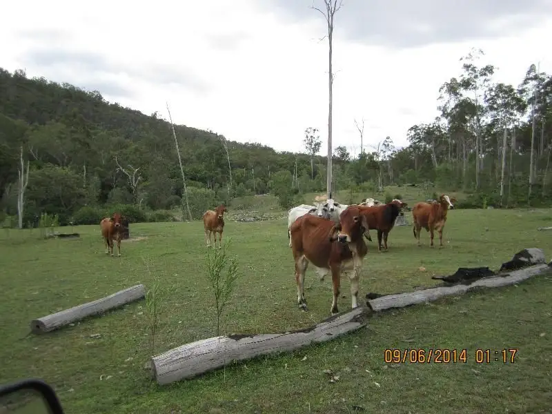 Main view of Homely rural property listing, Address available on request