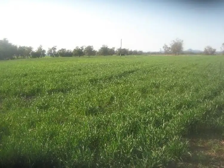 Sixth view of Homely rural property listing, Address available on request