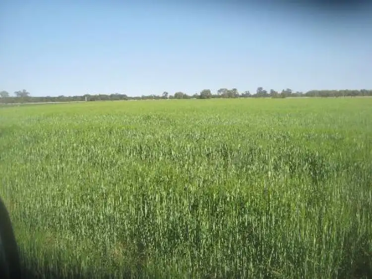 Seventh view of Homely rural property listing, Address available on request