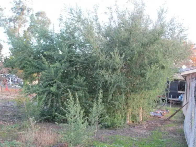 Fifth view of Homely rural property listing, Address available on request