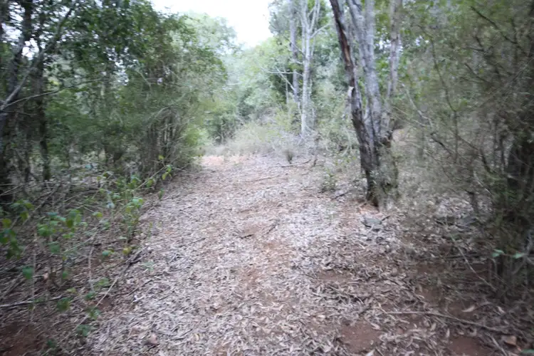 Fifth view of Homely rural property listing, 508 Malar Road, Booie QLD 4610