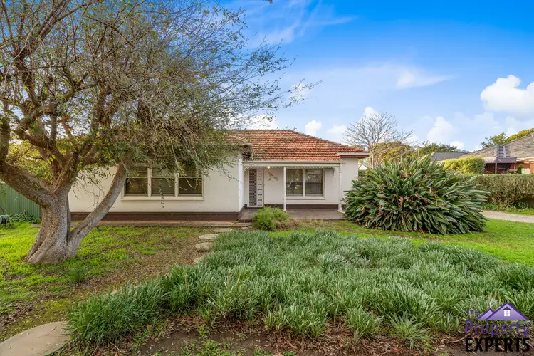 Main view of Homely house listing, 11 Cobham Avenue, Morphettville SA 5043
