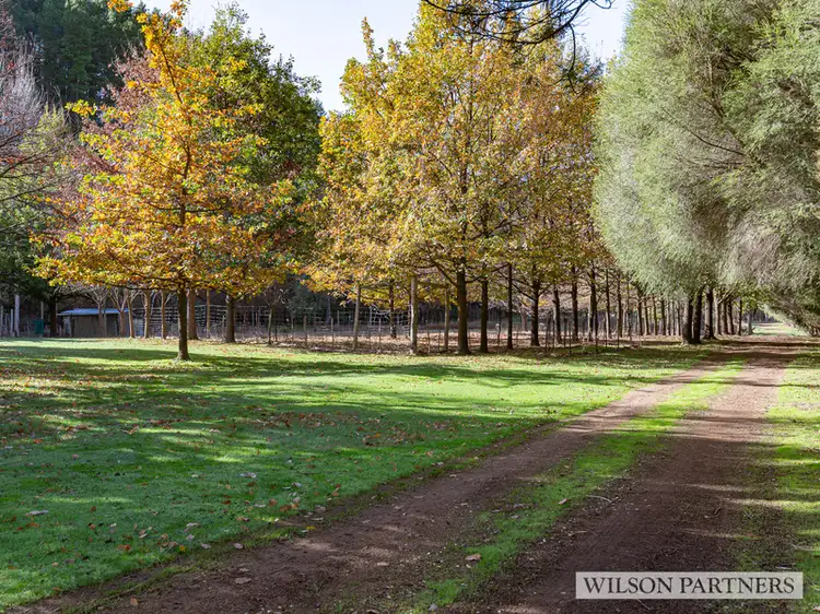 Fourth view of Homely house listing, 1573 BROADFORD FLOWERDALE ROAD, Strath Creek VIC 3658