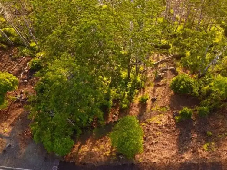 Sixth view of Homely land listing, LOT MT, 4 Coral Sea Avenue, Hamilton Island QLD 4803