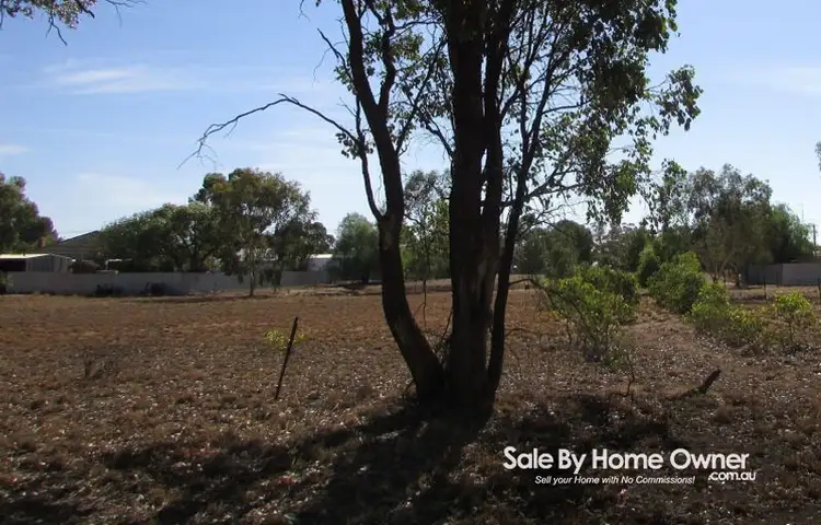 Main view of Homely land listing, 17 Kurrajonong Street, Barellan NSW 2665