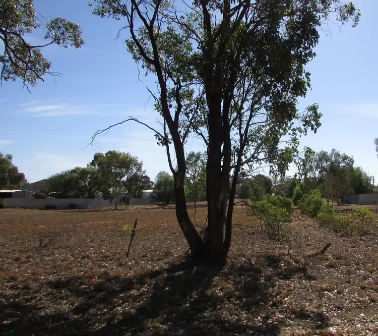 Second view of Homely land listing, 17 Kurrajonong Street, Barellan NSW 2665