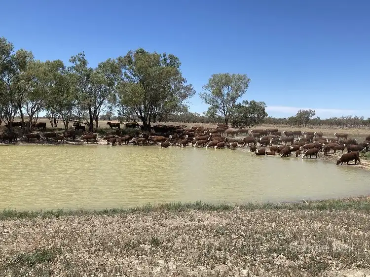 . West Mooculta, Bourke NSW 2840