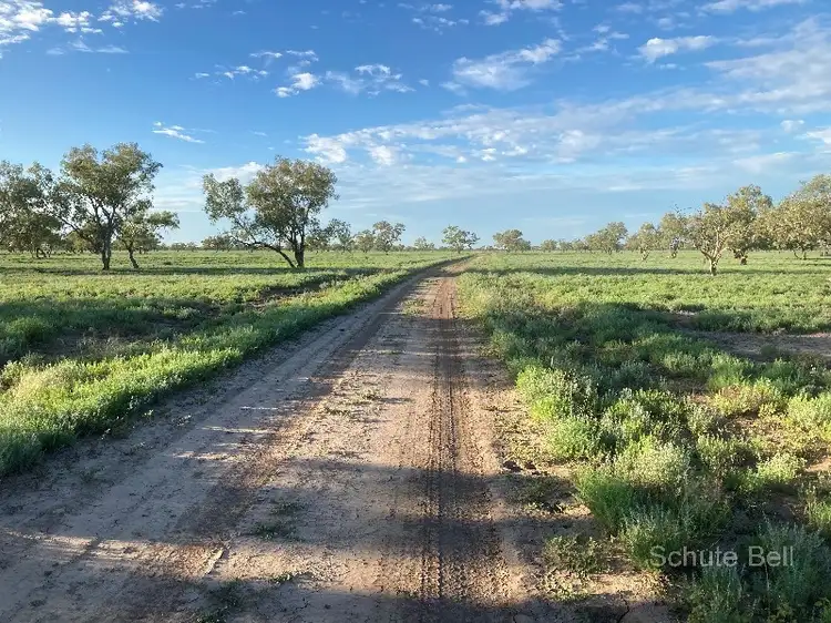 Seventh view of Homely rural property listing, . West Mooculta, Bourke NSW 2840