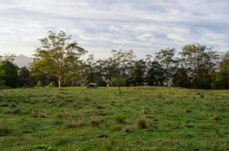 Main view of Homely rural property listing, 123 Boxsell Road, Tyalgum Creek NSW 2484