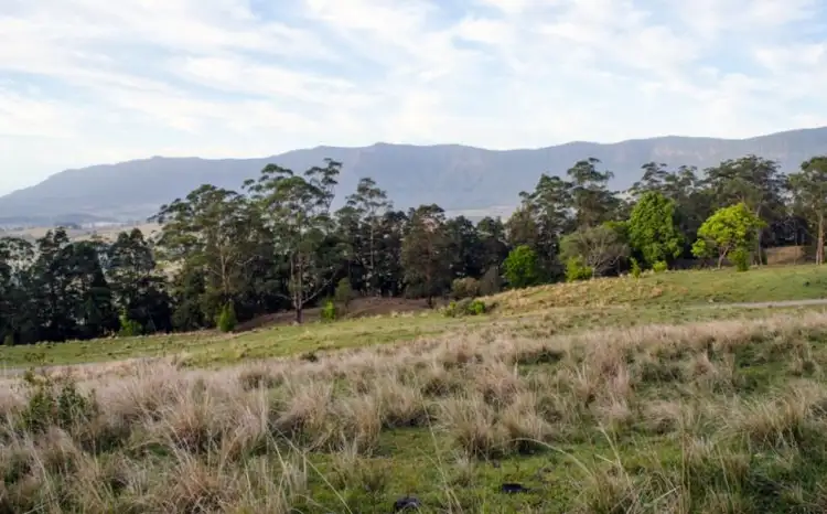 Third view of Homely rural property listing, 123 Boxsell Road, Tyalgum Creek NSW 2484