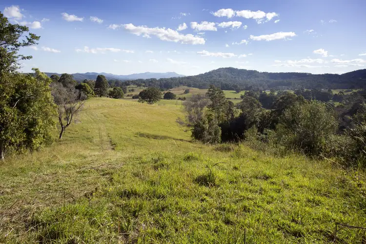 Second view of Homely rural property listing, 146 Tewinga Lane, Tewinga NSW 2449