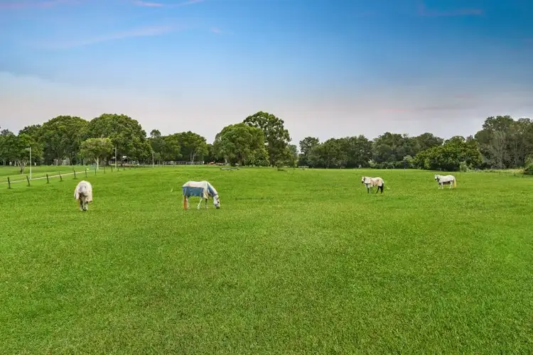 Fifth view of Homely rural property listing, 3 Caravel Court, Caboolture South QLD 4510