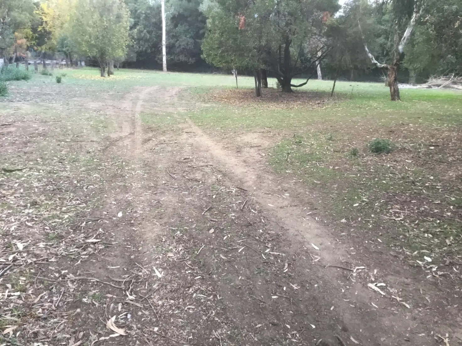 Main view of Homely land listing, Lot 11-12 Frederick Street, Woolomin NSW 2340