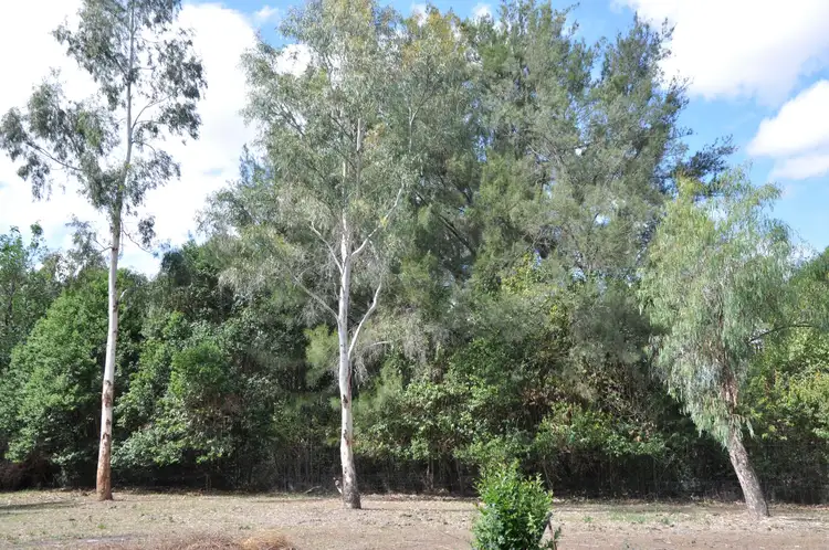 Second view of Homely land listing, Lot 11-12 Frederick Street, Woolomin NSW 2340