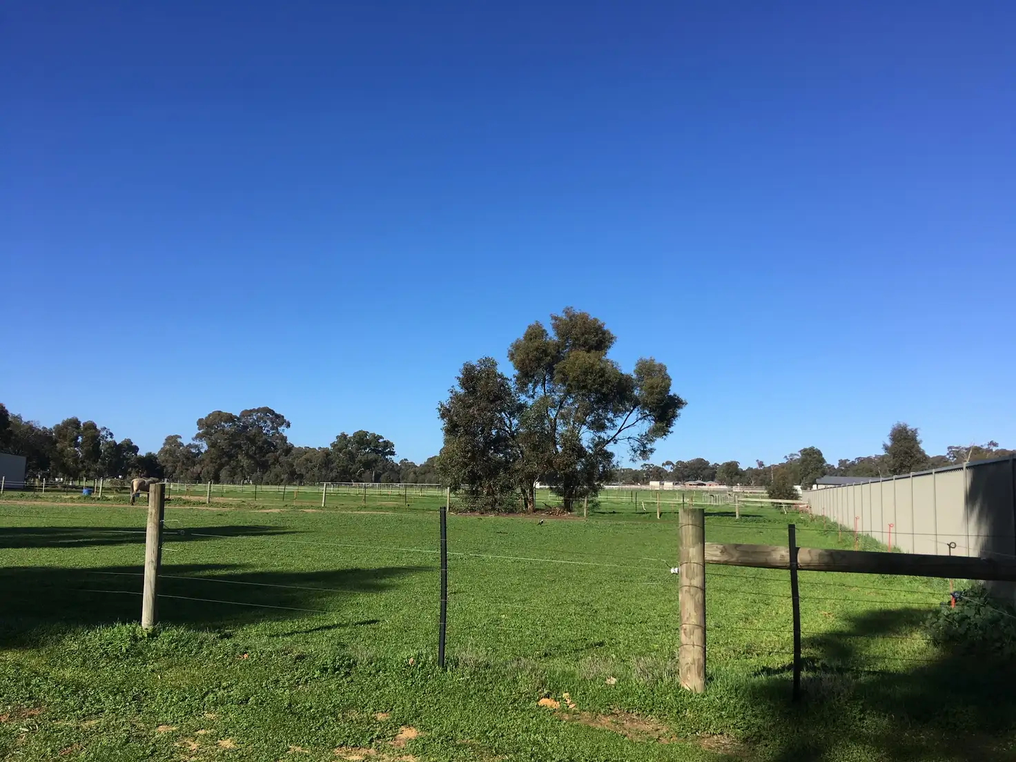 Main view of Homely land listing, 64 Ross St, Bendigo VIC 3550