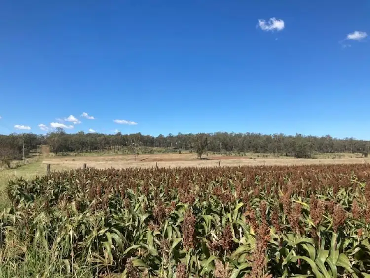 Fifth view of Homely rural property listing, 232 Radunzs Road, Booie QLD 4610