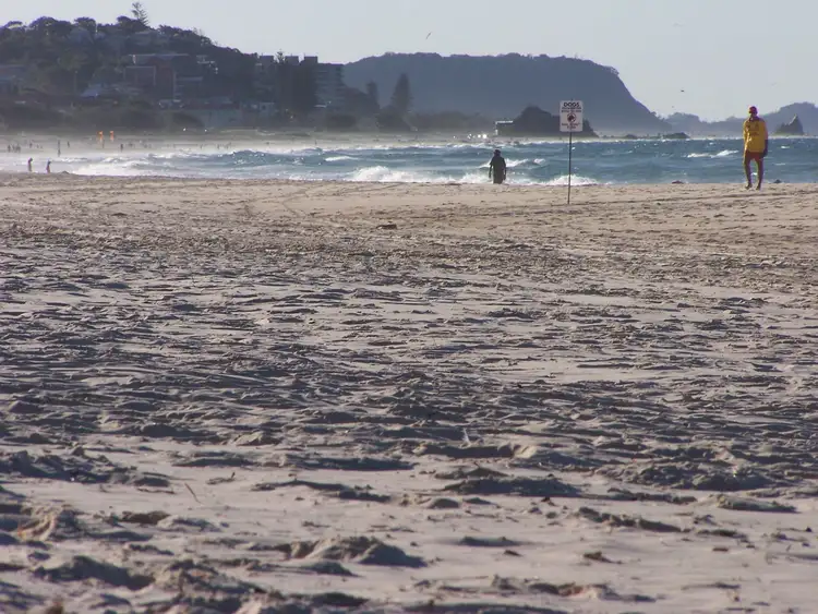 Seventh view of Homely land listing, 292 Coolangatta Road, Bilinga QLD 4225