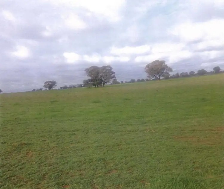 Third view of Homely rural property listing, Cnr Twenty Four Lane and Hillside Road, Moama NSW 2731
