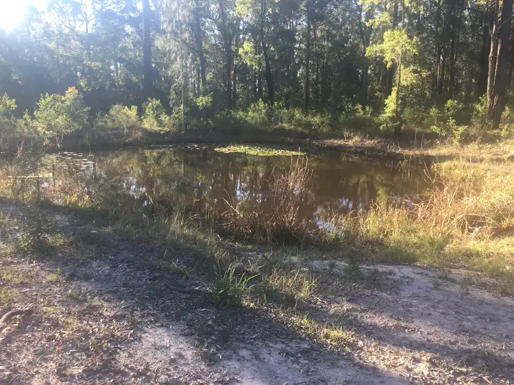 Fourth view of Homely rural property listing, Lot 3/2 Breckenridge Street, The Branch NSW 2425