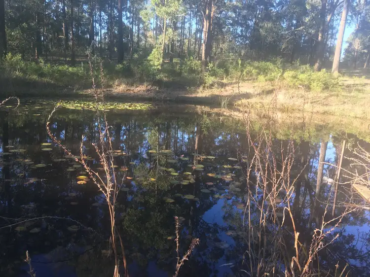 Fifth view of Homely rural property listing, Lot 3/2 Breckenridge Street, The Branch NSW 2425