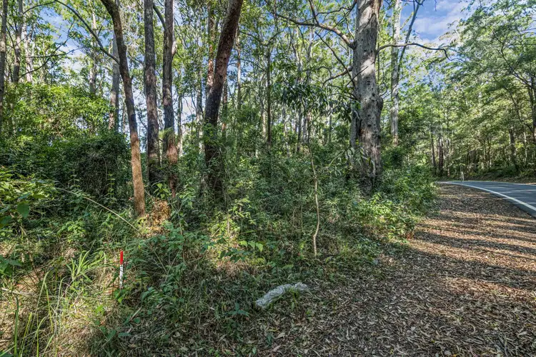 Main view of Homely land listing, 1922 Springbrook Road, Springbrook QLD 4213
