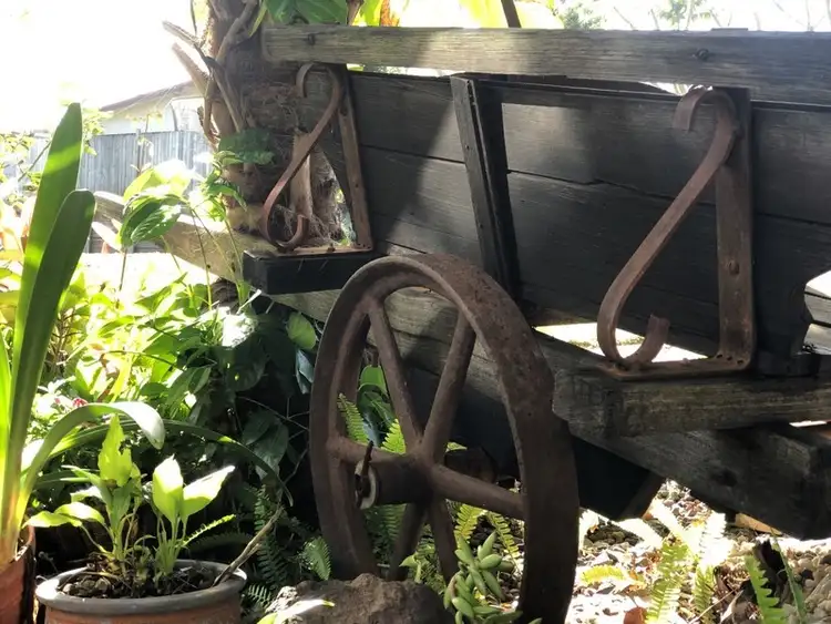 Third view of Homely house listing, 12 Avocado Crescent, Bli Bli QLD 4560