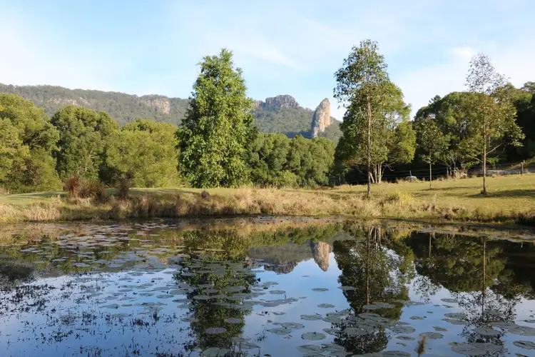 Fifth view of Homely rural property listing, 26 Shipway Road, Nimbin NSW 2480