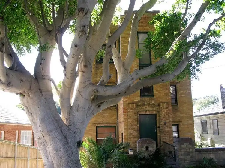 1/41 Swan Street, Cooks Hill NSW 2300