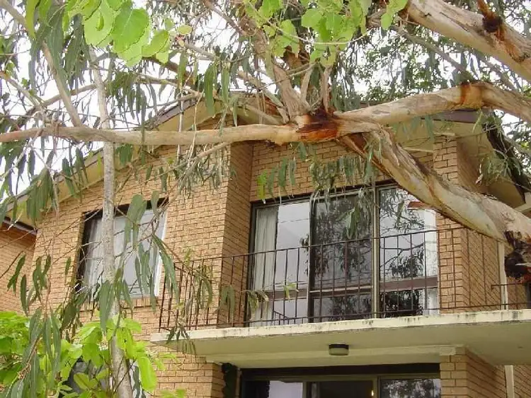 Address available on request