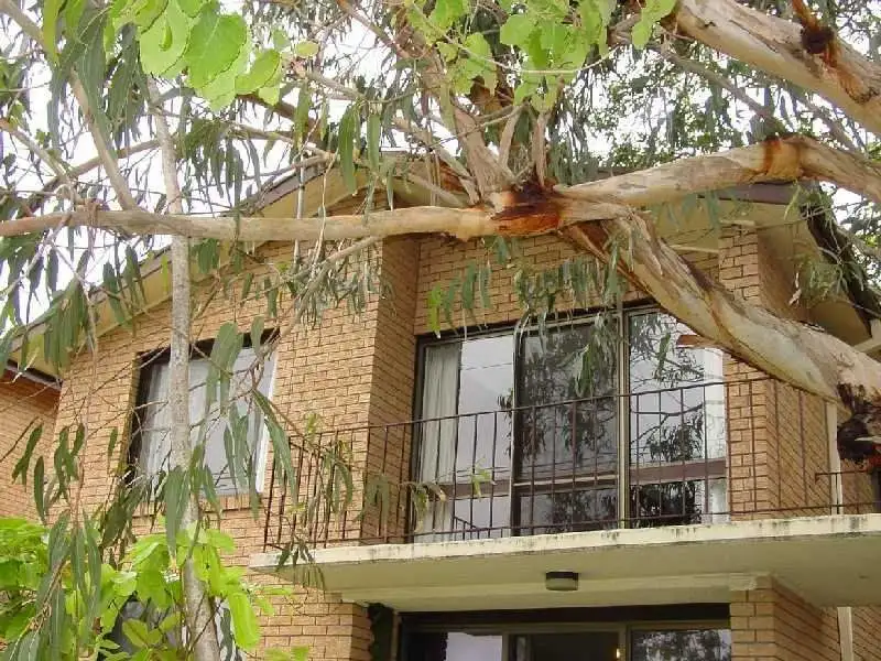 Main view of Homely apartment listing, Address available on request