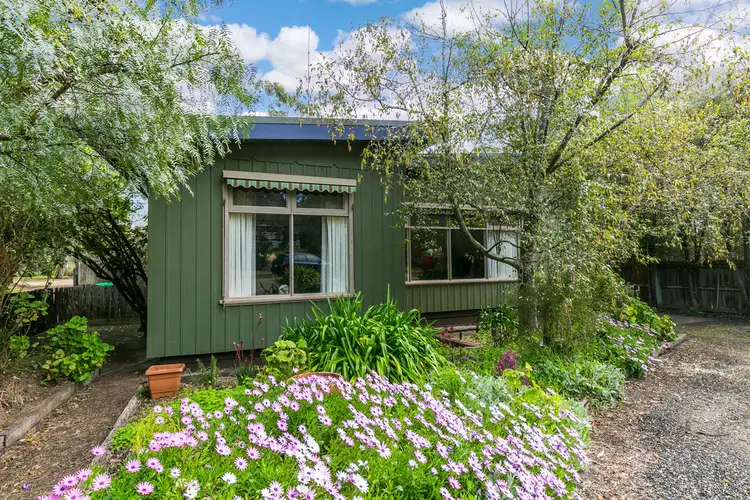 49 Camp Road, Anglesea VIC 3230