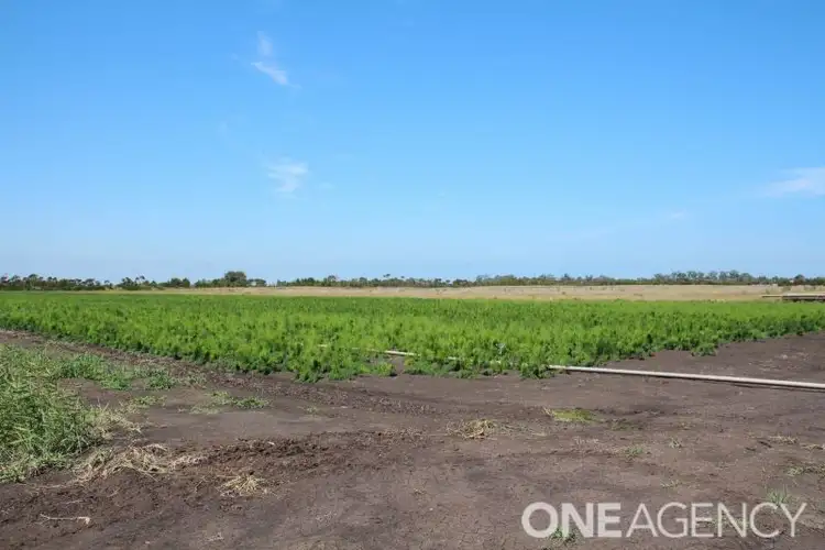 Sixth view of Homely rural property listing, 25 Harewood Mains Road, Tooradin VIC 3980