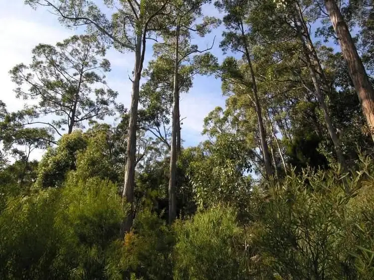 Fifth view of Homely land listing, Lanes Road, Glen Huon TAS 7109